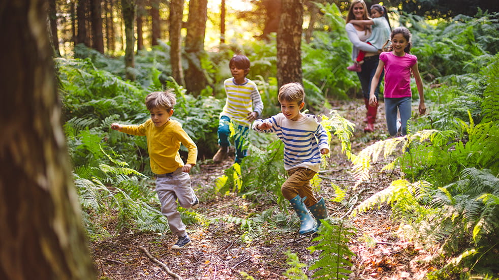 Get kids outdoors: Forestry England trail through woods, with Zog trail